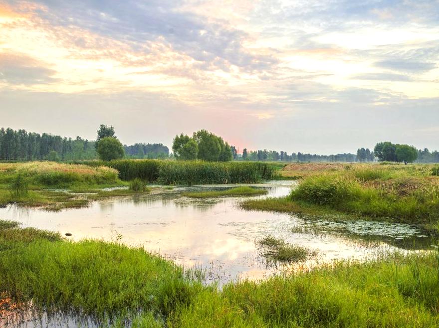 Find Peace at Bubba Wetlands: Calmness in Kakadu's Waterways