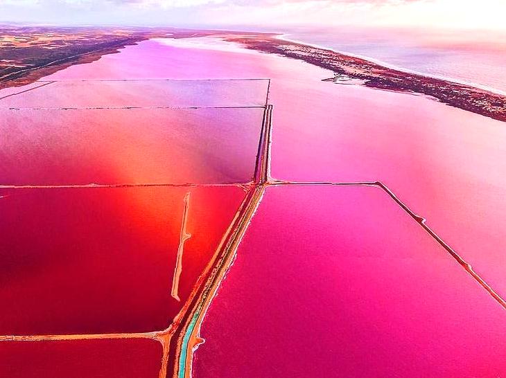Unveiling the Wonders of Hutt Lagoon