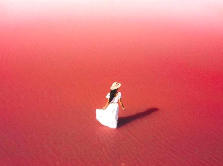 Hutt Lagoon Exploration: Nature's Pink Masterpiece