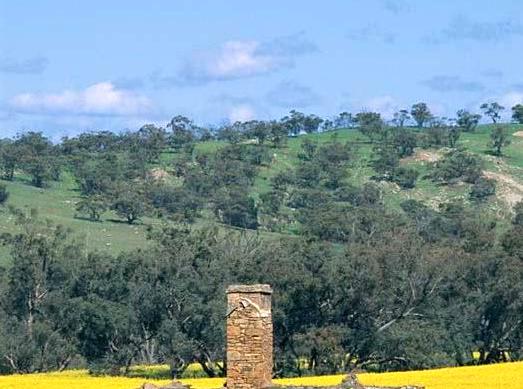 The Avon Valley Experience: Nature Meets Historical Significance