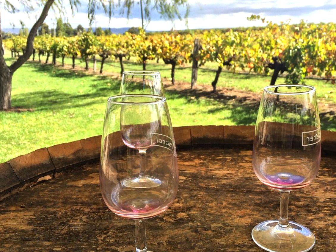 oppidolucano|Exploring Swan Valley: Wine, Food, and More