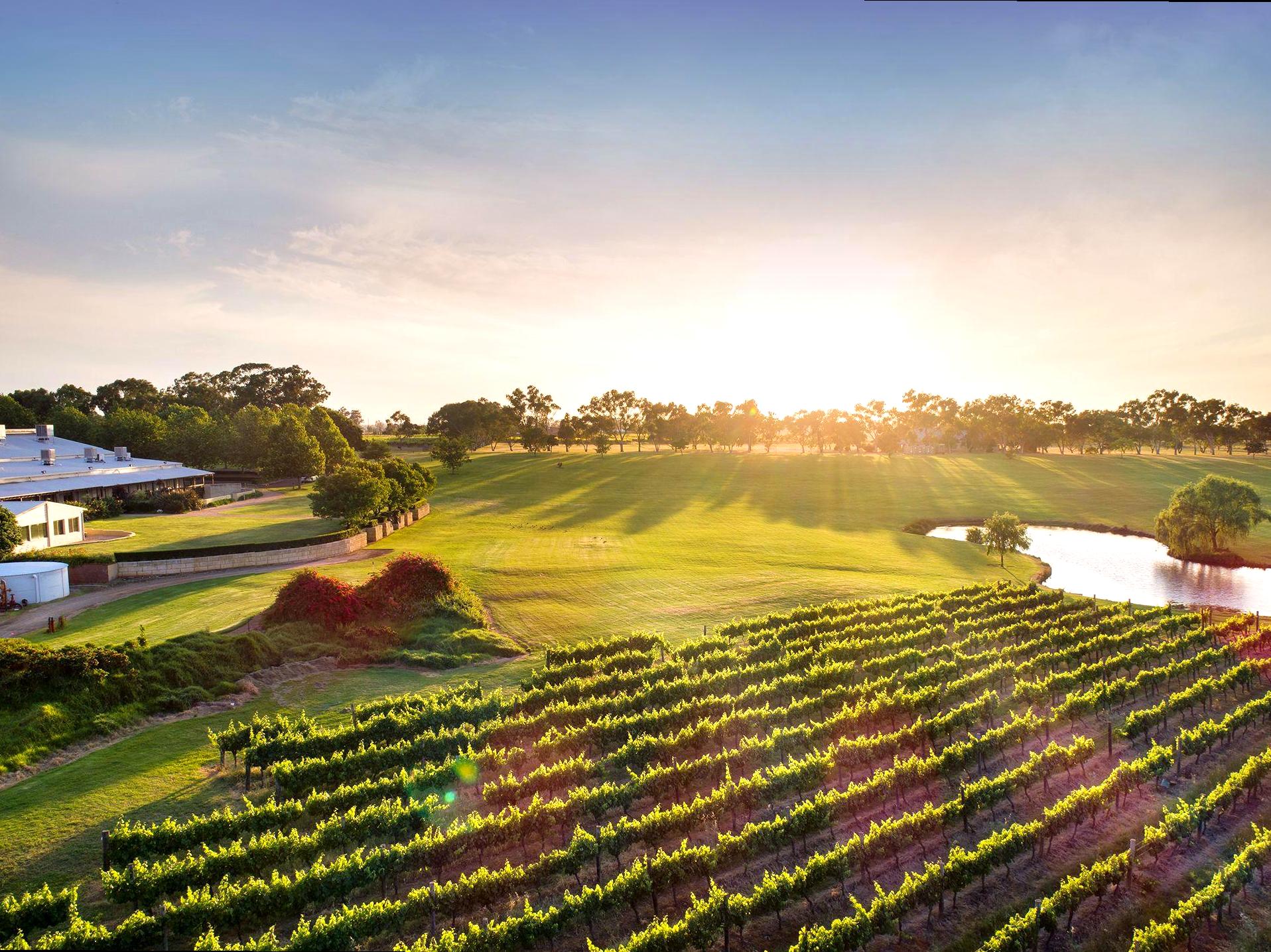A Journey Through Swan Valley: Gastronomy and Vintages