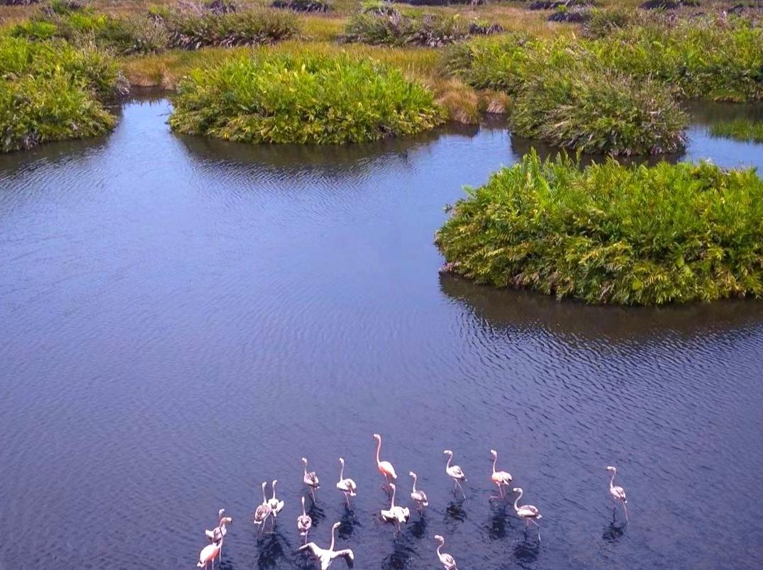 oppidolucano|Relax at Bubba Wetlands: Serenity in Kakadu’s Wetlands
