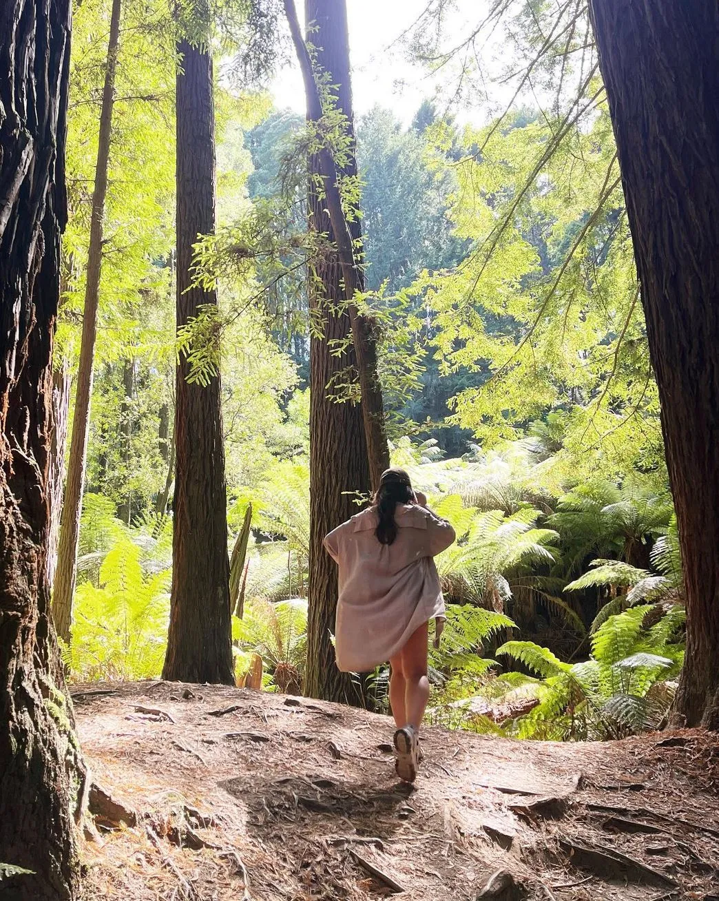 Great Otway National Park
